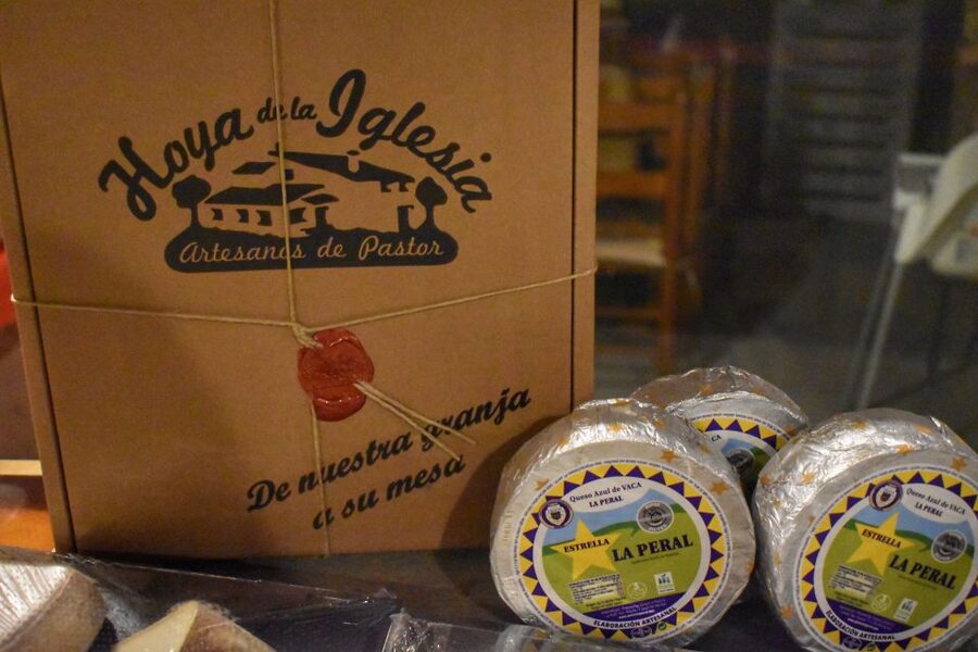From Valencia: Guided Cheese Factory Tour with Wine Tasting - Price and Value: Is $117 Worth a Full Day?