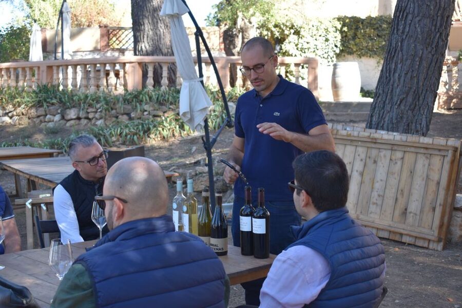 From Valencia: Guided Cheese Factory Tour with Wine Tasting - The Create Your Own Cheese Workshop, Step by Step