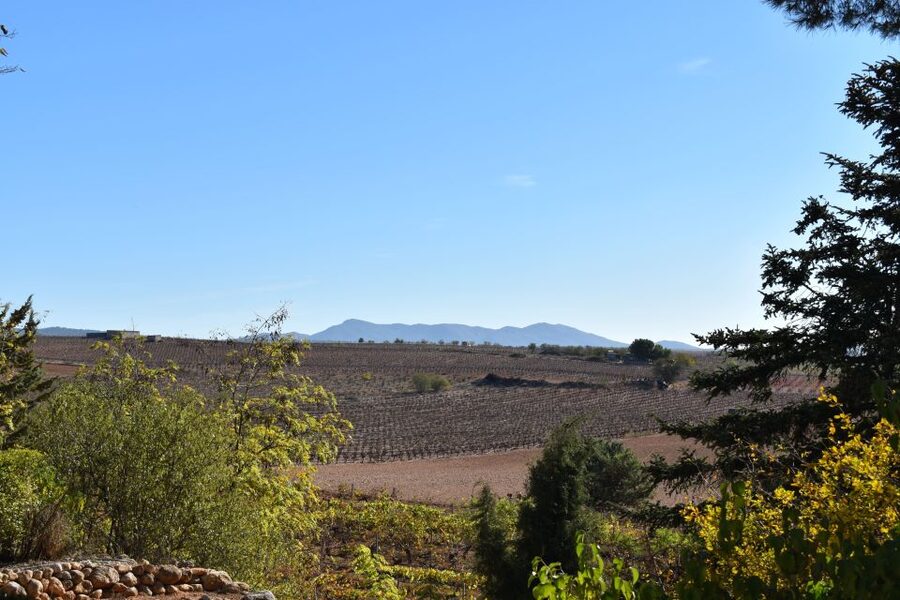 From Valencia: Guided Cheese Factory Tour with Wine Tasting - 8 Cheeses and Unlimited Drinks: How to Taste With Intention
