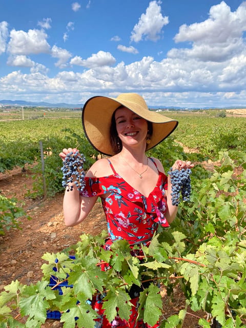 From Valencia: Utiel-Requena Wine Tour and Traditional Lunch - From Valencia to Utiel-Requena: an easy 8-hour schedule