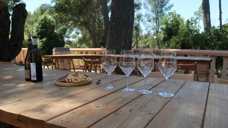 From Valencia: Utiel-Requena Wine Tour and Traditional Lunch - Utiel family-owned winery: vineyards, cellar time, and tastings