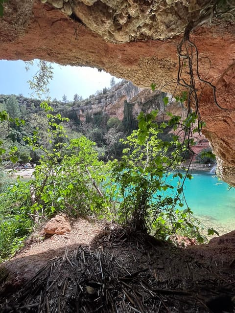 From Valencia: Wine Tasting + Nature exploration - Price and value: what you pay for at $115 per person