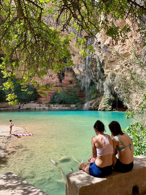 From Valencia: Wine Tasting + Nature exploration - Who should book, and who should skip this nature and wine combo