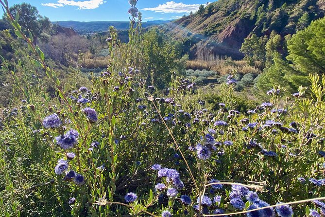 Full-day Hiking at Ruta the Aqua across Pena Cortada - Pace, distance, and what “moderate fitness” means here