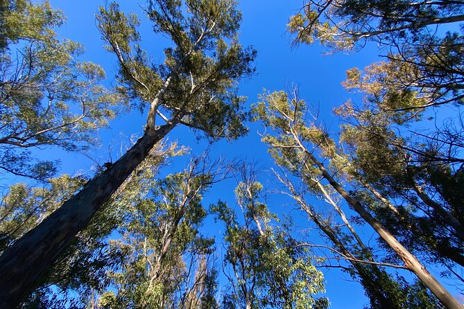 Full-day Hiking at Ruta the Aqua across Pena Cortada - Guide quality and small-group energy (and what to double-check)