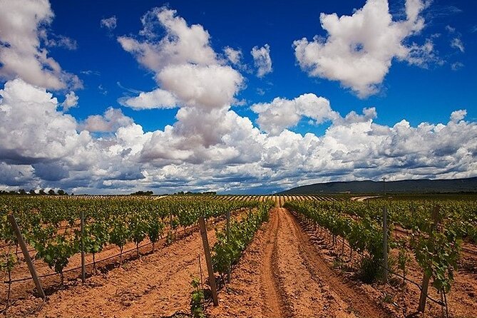 Full Day Private Requena Wineries Premium Tastings - Sierra Norte Winery in the afternoon: Bobal plus Pinot Noir in Cava Rosé, with chocolate pairing