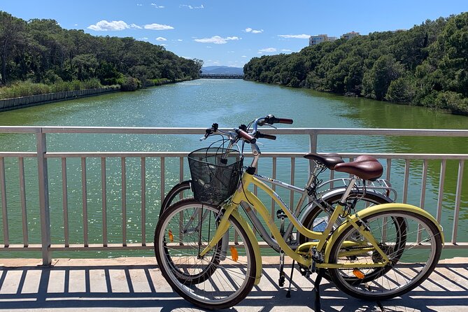 GRAND CITY Private Guided Tour on Bike, E-Bike, E-Step or Segway - Torres dels Serrans to Jardí del Túria: fortress ruins and a long green reset