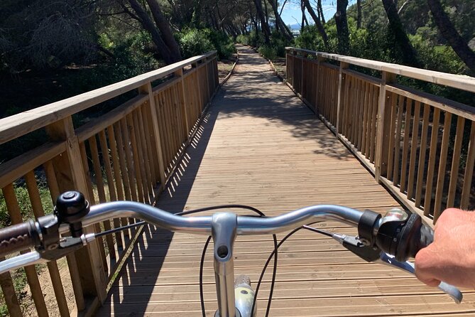 GRAND CITY Private Guided Tour on Bike, E-Bike, E-Step or Segway - Oceanographic Valencia: what you get, what you do not
