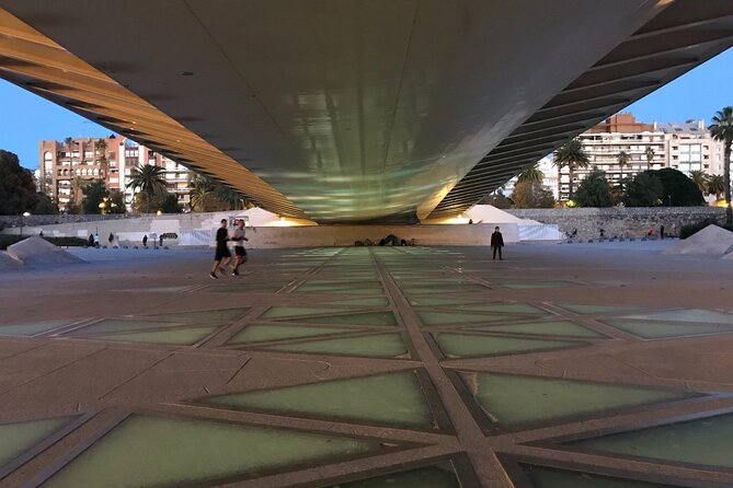 Grand City | Small Group Bike Tour through Top Highlights - Stop 3 and Stop 4: The Palacio del Marques and Plaça de l’Ajuntament
