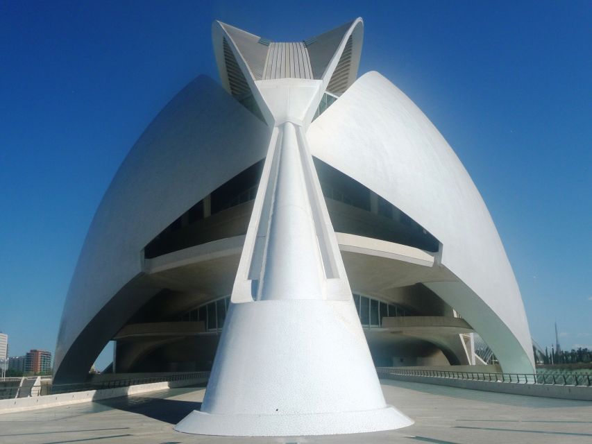 Highlights of Valencia: Private Half-Day Tour - Futuristic City of Art and Science to Anchor Your First Impressions