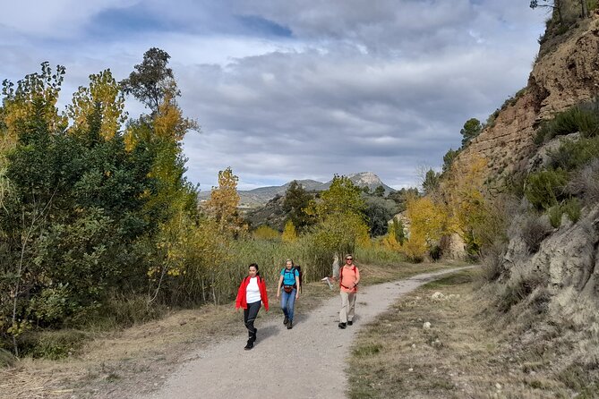 Hike to the Roman aqueduct Peña Cortada - What to bring and how to set yourself up for a good day