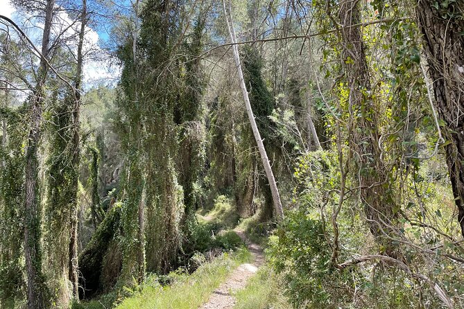 Hiking in Montanejos and swim in Thermal Springs - OFFICIAL GUIDE - Who should book this hike and thermal springs day