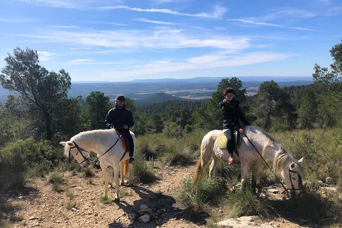 Horseback riding and wine tour (private tour) - Key points at a glance