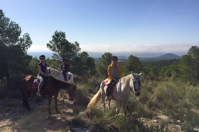 Horseback riding and wine tour (private tour) - Private group size and the 9:45 am start