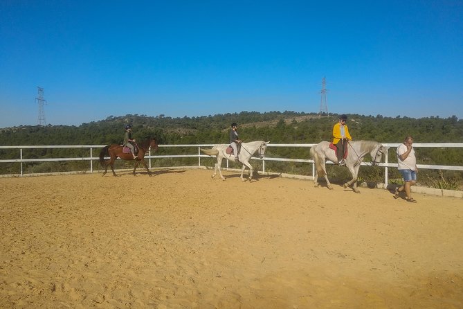 Horseback riding and wine tour (private tour) - The value question: how 180.62 per person holds up
