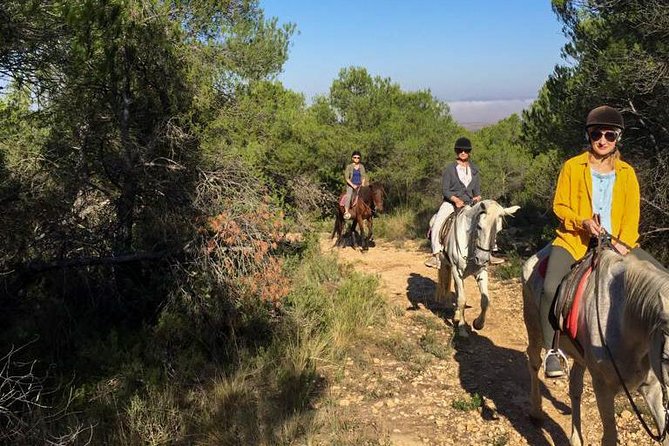 Horseback riding and wine tour (private tour) - Weather matters, and that can be a feature, not a bug