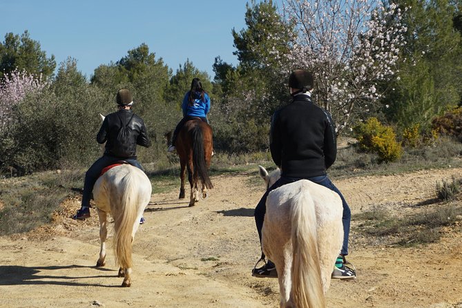 Horseback riding and wine tour (private tour) - The 45-minute horseback ride: calm pace, good instruction, quiet trails