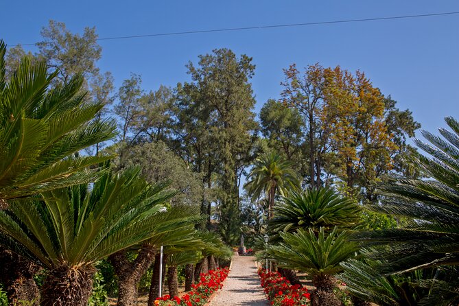 Live an Experience Among Orange Trees in Huerto Ribera - Km 0 Valencian products to finish: sweets, liqueurs, jams, and orange blossom honey