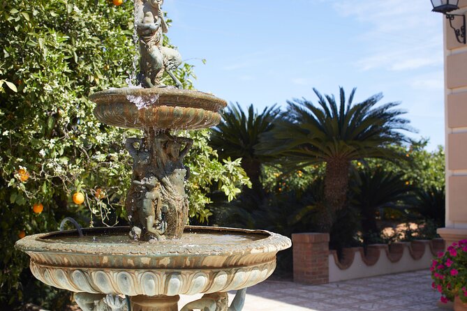 Live an Experience Among Orange Trees in Huerto Ribera - FAQ