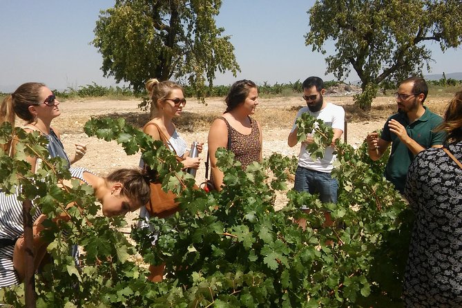 Private Wine Tour with Wine Tasting and Full Lunch (day trip) - Key highlights at a glance