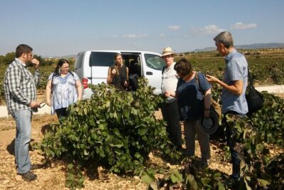 Private Wine Tour with Wine Tasting and Full Lunch (day trip)