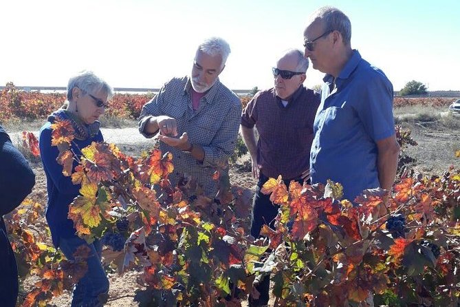 Private Wine Tour with Wine Tasting and Full Lunch (day trip) - Lunch after wine: what a three-course meal adds to the day