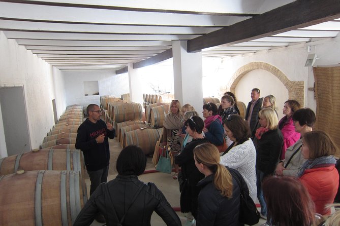 Private Wine Tour with Wine Tasting and Full Lunch (day trip) - What you actually taste: two tastings with Utiel-Requena context