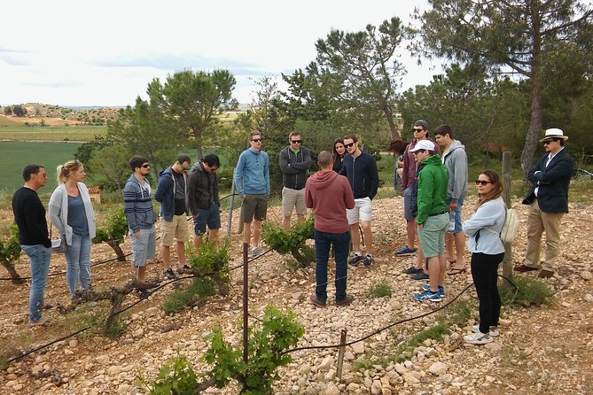 Private Wineries Tour from Valencia (morning tour) - A morning shortcut to Utiel-Requena wine country