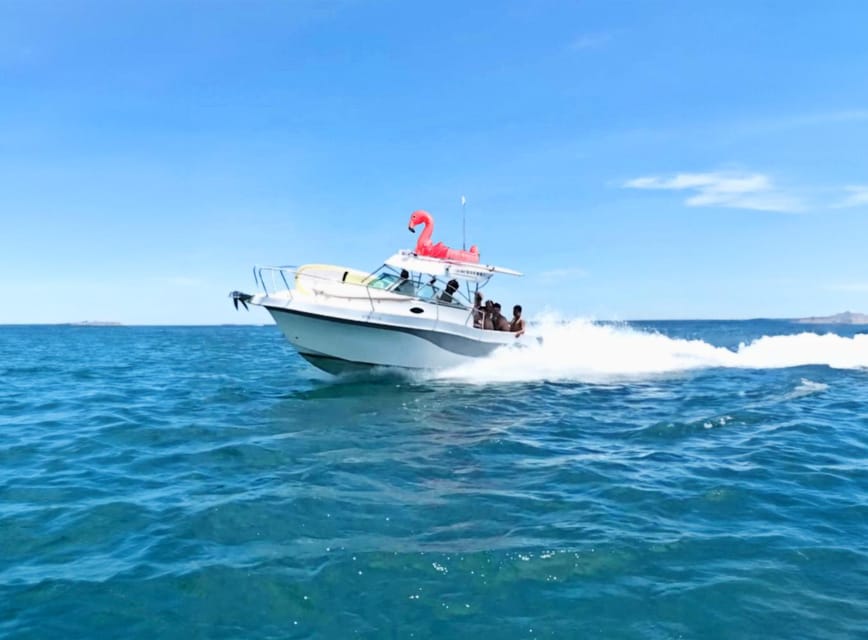 Rent Boat Valencia Yatch Polonova with capitan and drinks - Captain + drinks + the pacing reality check
