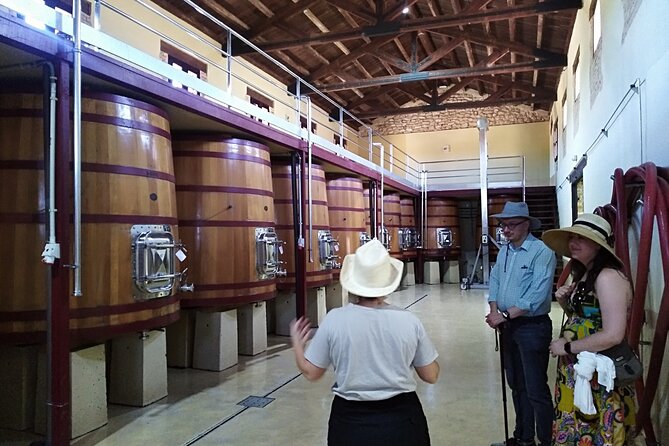 Requena Somm. Private Vineyards/ Premium Wine tasting 1/2 Day - A half-day that actually feels like a day out