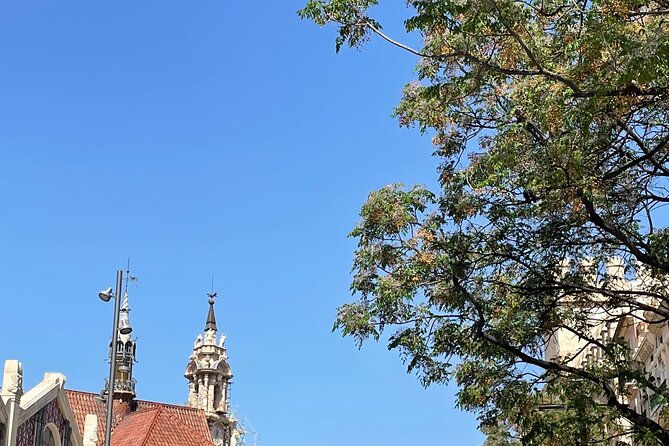 Savor Spain: Your Ultimate Tapas Tour Guide - Drink Choices: Wine, Beer, or Staying Nonalcoholic