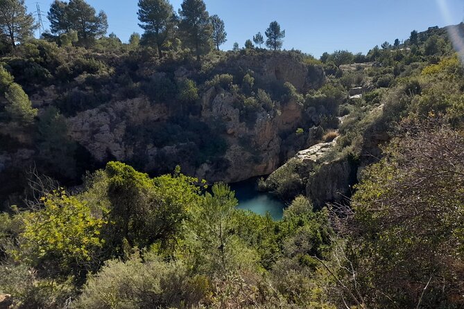 Shared Hike Tour in Valencia - Key Highlights You’ll Actually Feel on the Trail
