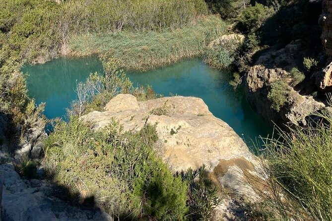 Shared Hike Tour in Valencia - Price and Value: What You Really Get for About $96