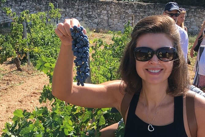 Singular Valencia Wine Tour Utiel Requena Wineries - Small Group Size, Flexible Energy, and Real-Day Professionalism