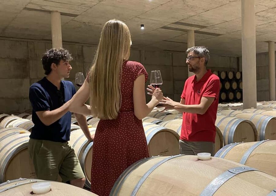 Small-Group Wine Tour from Valencia with Tastings Max 7 - Escaping Valencia to Requena, Utiel-Requena, in 5.5 Hours