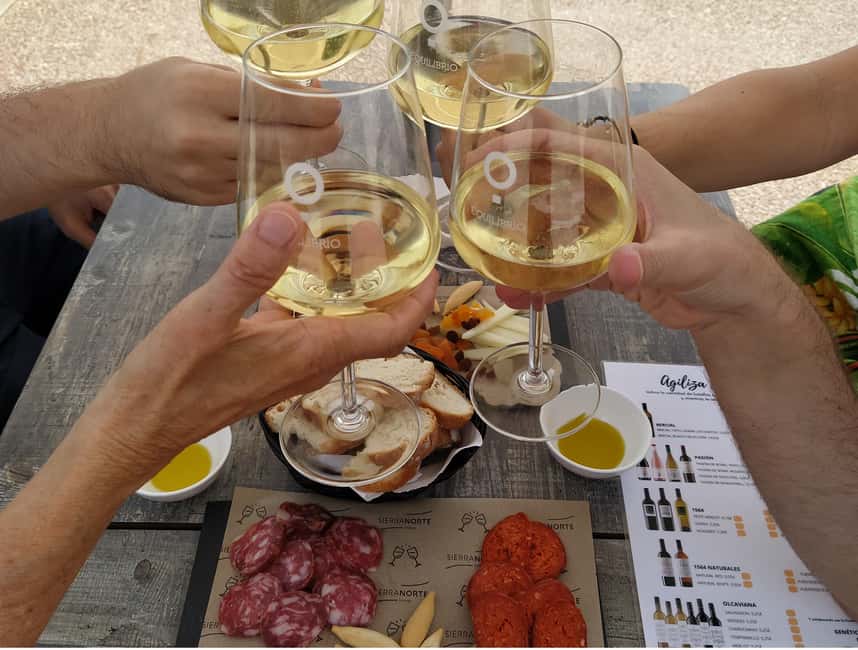 Small-Group Wine Tour from Valencia with Tastings Max 7 - Murviedro Bodega Histórica Underground Caves, 10th-Century Production