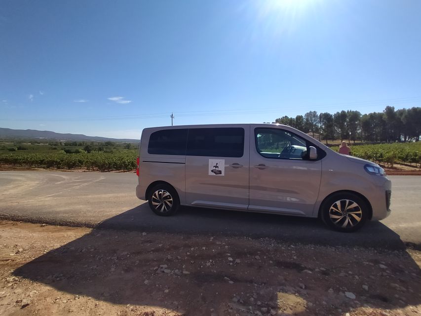 Small-Group Wine Tour from Valencia with Tastings Max 7 - Bobal and Beyond, Your Guided Wine Tasting at a Requena Winery