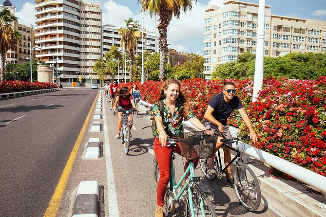 The Beauty of Valencia by Bike: Private Tour - Valencia Cathedral Area: Roman, Visigothic, and Islamic Traces by Bike