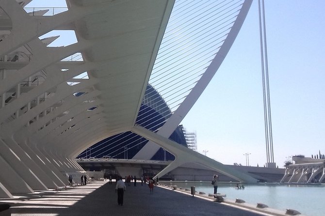 The City of Arts and Sciences in Valencia - Why This City Walk Feels Like a Valencia Starter Kit
