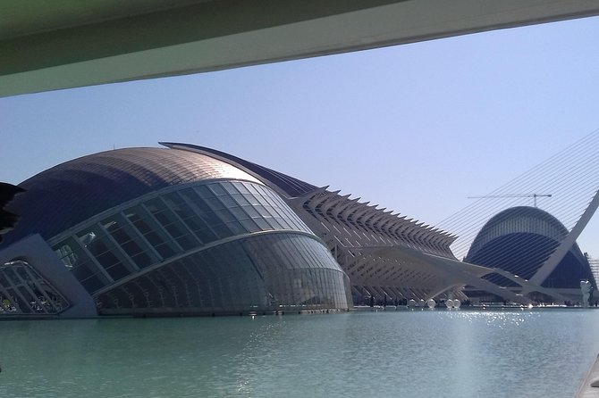 The City of Arts and Sciences in Valencia - What’s Included for $28, and What You Still Might Pay For