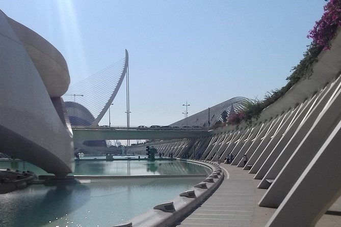 The City of Arts and Sciences in Valencia - Agora Building: Understanding the Complex as a Public Place
