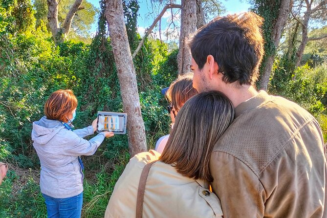 The Original Albufera Tour: Barraca, Boat Ride & Local Guide - Key highlights you should know before you go