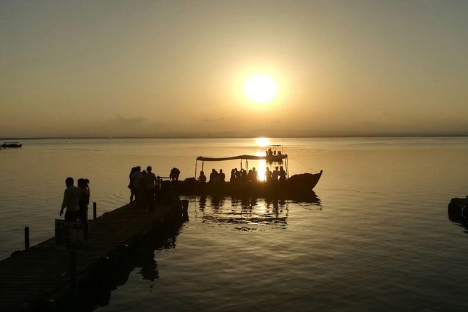 The Original Albufera Tour: Barraca, Boat Ride & Local Guide - Parque Natural de la Albufera: boardwalk walking and the bird-focused moments