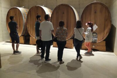 Two wineries tour with wine tasting