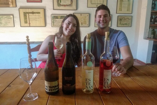 Two wineries tour with wine tasting - Winery Stop 2: Comparing a family-style cellar with modern choices