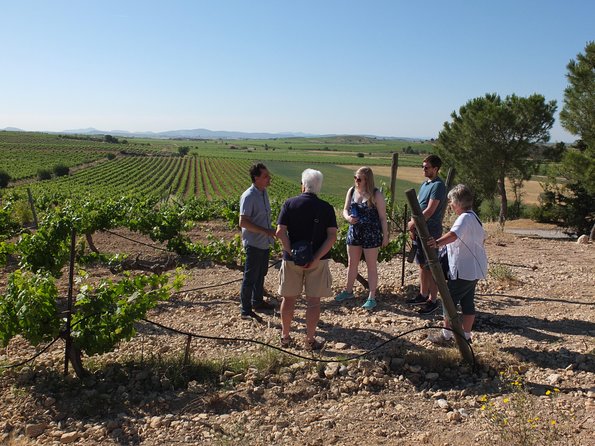 Two wineries tour with wine tasting - What you learn from the winemaking process, in English