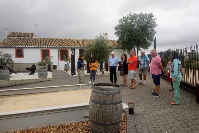 Two wineries tour with wine tasting - Timing and pacing: a 5 to 6 hour plan that doesn’t drag