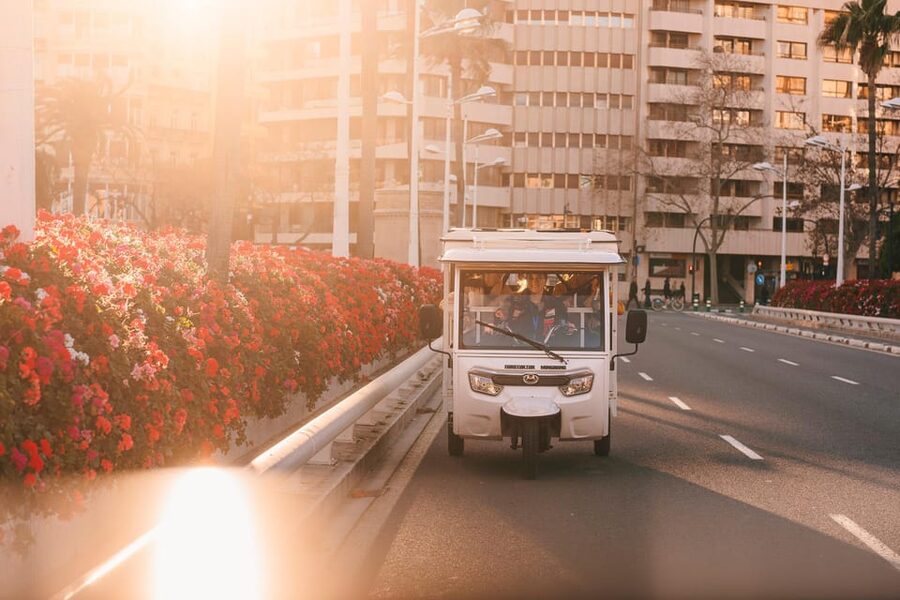 Valencia 1 hour by TukTuki: Essential and Private Tour - Why Valencia by TukTuk Works So Well in One Hour