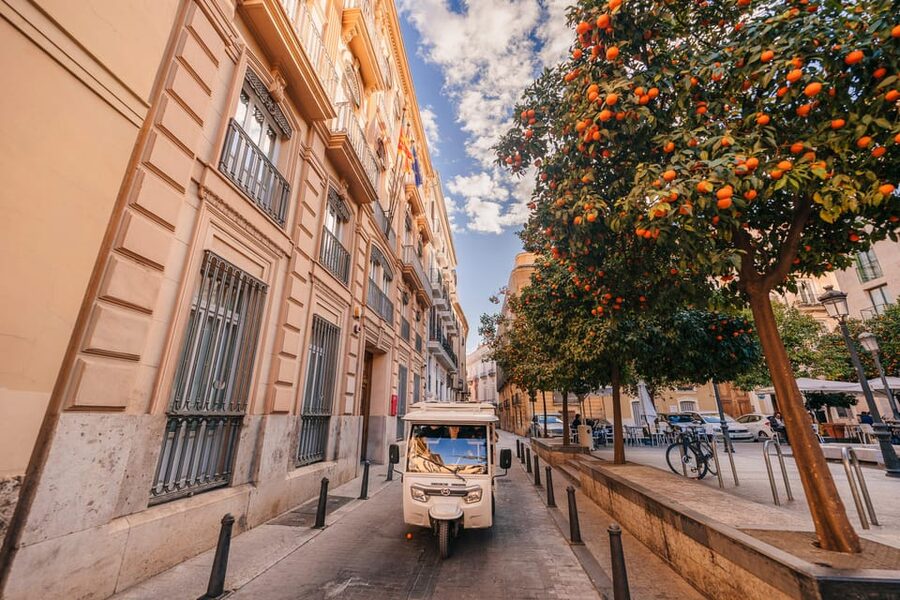 Valencia 1 hour by TukTuki: Essential and Private Tour - Comfort and Practical Tips: Seat Choice, Hearing, and Timing