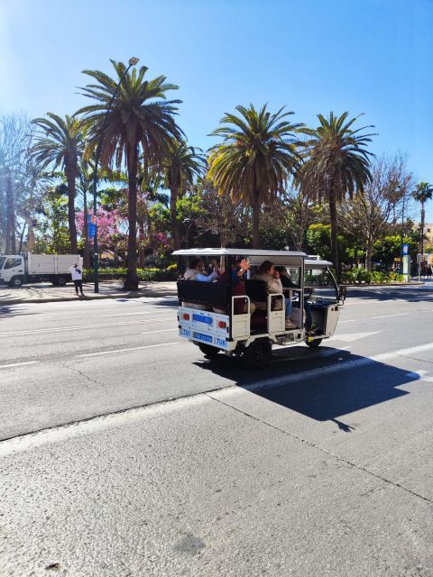 Valencia: 2-hour City Highlights Guided Tuk-Tuk Tour - City of Arts and Sciences, the 20-minute reset that makes the day work